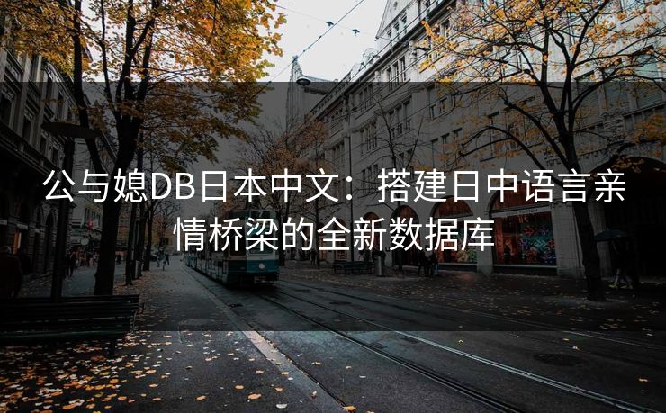 公与媳DB日本中文：搭建日中语言亲情桥梁的全新数据库