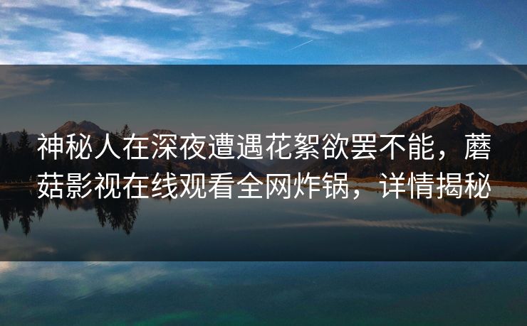 神秘人在深夜遭遇花絮欲罢不能，蘑菇影视在线观看全网炸锅，详情揭秘